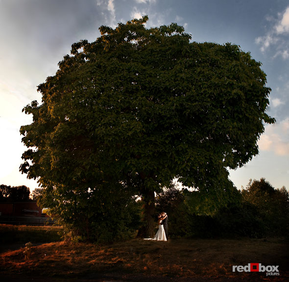 Michelle & Matt under the old oak tree! (Photo By: Scott Eklund/Red Box Pictures)