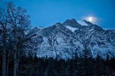 Wedding in Yoho I