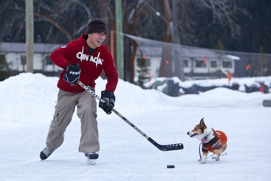 Fido gets into the action during an outdoor hockey game in Field, B.C. (Photo by Andy Rogers/Red Box Pictures)