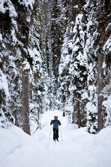 Steve, the groom, cross-country skis on a trail around Lake Louise (Photo by Andy Rogers/Red Box Pictures)