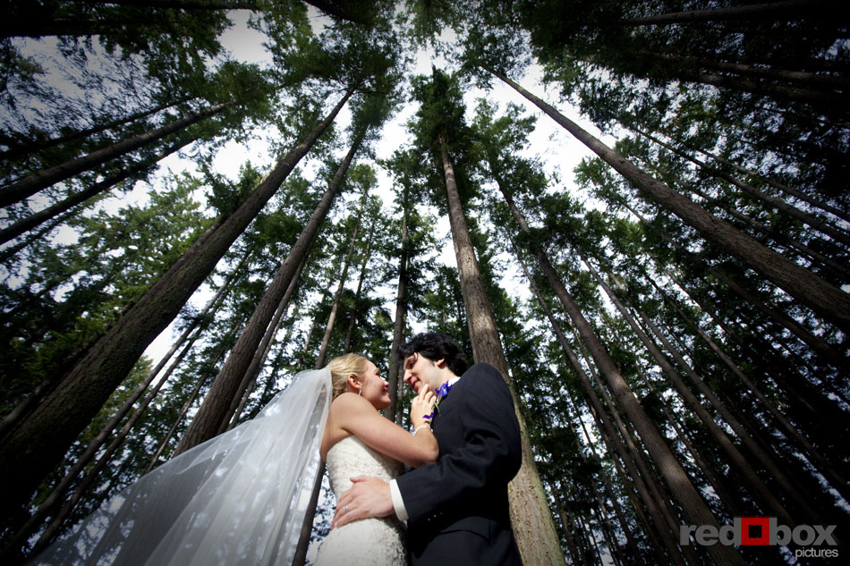 The bride & groom under the trees at their Kitsap Memorial State Park wedding in Poulsbo, WA. Seattle Wedding Photographers Red Box Pictures Scott Eklund
