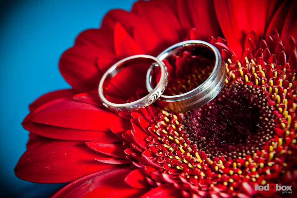 Niki and Shawn's wedding bands from Greenlake Jewelry sit upon the daisies used in their table centerpieces at the Georgetown Ballroom in Seattle. (Photography by Andy Rogers/Red Box Pictures)