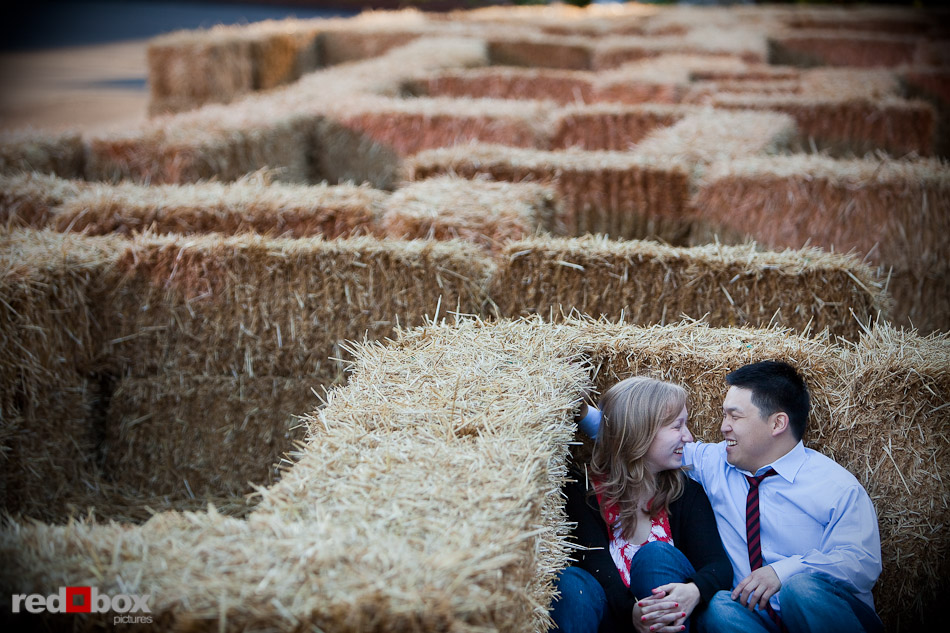 Jenny and Eugene in the hay bale maze at the Seattle Center during their engagement session. (Photo by Andy Rogers/Red Box Pictures)