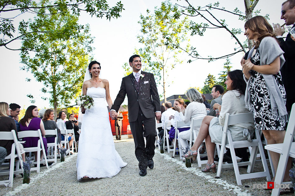 Laura and Nathan walk down the aisle after being married in the courtyard of the Novelty Hill Januik Winery in Woodinville, WA. (Photo by Dan DeLong/Red Box Pictures)