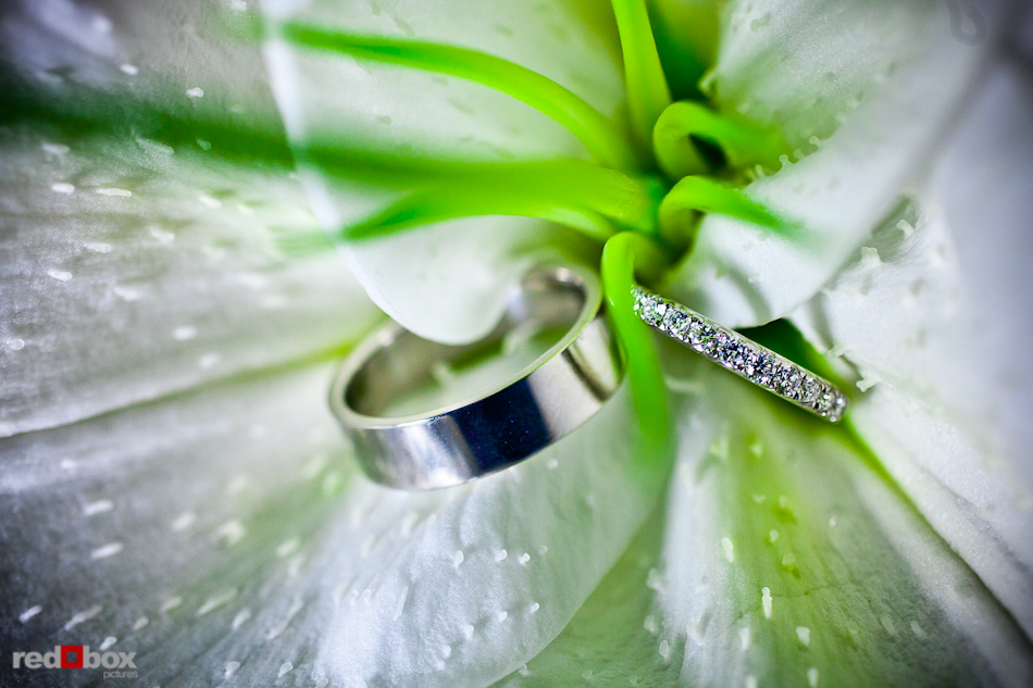 Rachel and Shawn's wedding rings are shown on a lily at the Woodmark Hotel in Kirkland, WA. (Photography by Andy Rogers/Red Box Pictures)