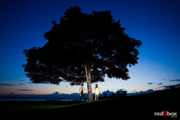 Just after sunset, Anghi and Andy's stand under a tree in Myrtle Edwards Park in Seattle during their engagement portrait session. Photo by Dan DeLong/Red Box Pictures