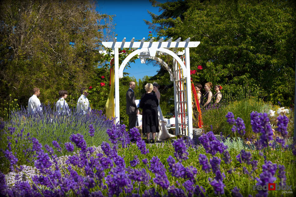 The bride and groom stand under an arbor during their wedding ceremony in the garden at Greenbank Farms on Whidbey Island. (Wedding Photography/Scott Eklund/Red Box Pictures/Seattle)