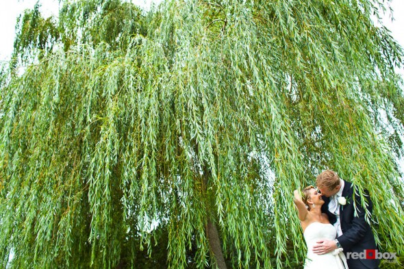 Angi and Mike kiss under a large willow tree before their wedding at Willows Lodge in Woodinville, WA. (Photo by Dan DeLong/Red Box Pictures)