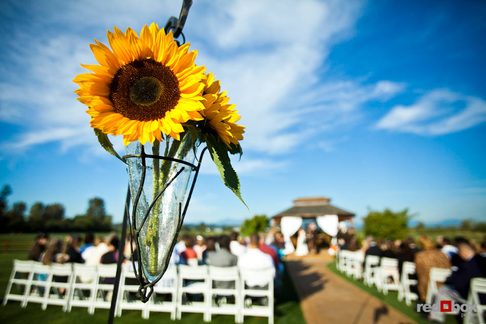 Sunflowers add to the wedding decor during a outdoor ceremony at Hidden Meadow, a wedding facility in the countryside near Snohomish, WA. (Photo by Dan DeLong/Red Box Pictures)