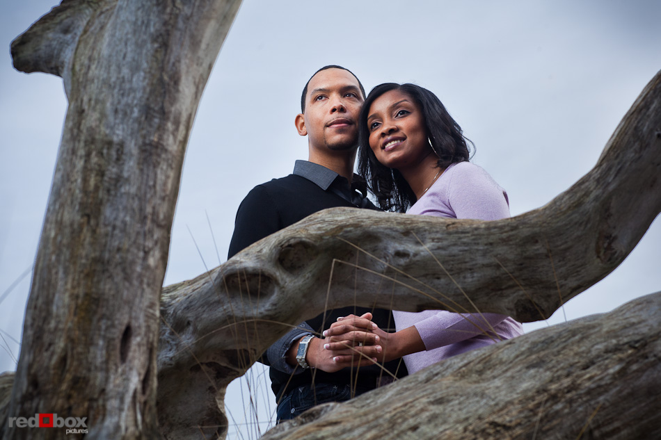 Nick and Tia near driftwood at Seacrest Park in West Seattle for their engagement portrait session. (Photography by Andy Rogers/Red Box Pictures)