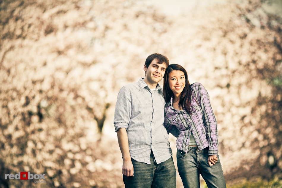 Emily and Mark stand at the quad at the University of Washington with cherry blossoms behind them for engagement portrait photos in Seattle. (Photo by Andy Rogers/Red Box Pictures)