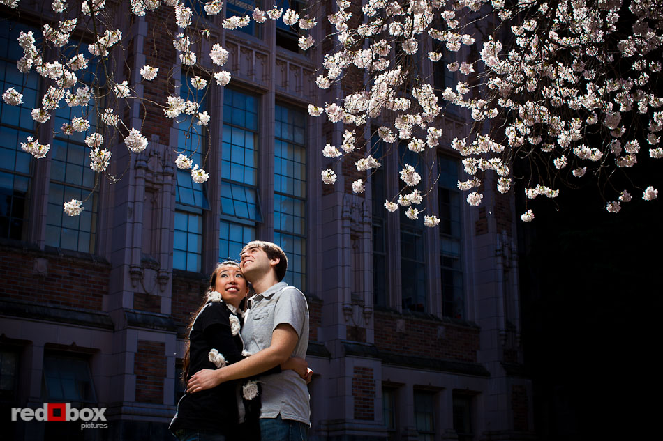 Emily and Mark beneath the cherry blossoms during their engagement portrait session at the University of Washington. (Photo by Andy Rogers/Red Box Pictures)