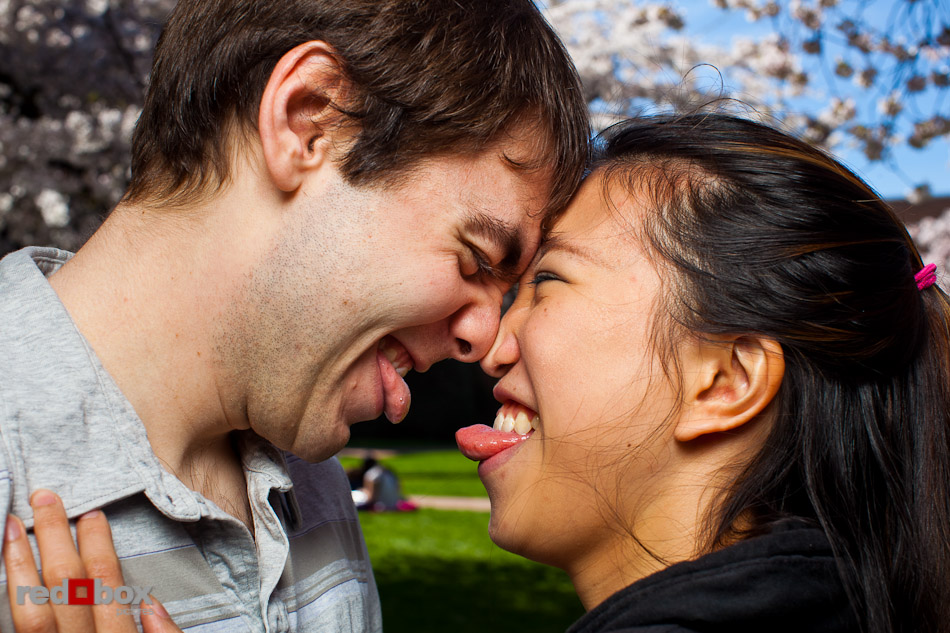 Emily and Mark make faces beneath the cherry blossoms during the portrait for their engagement at the University of Washington in Seattle. (Photo by Andy Rogers/Red Box Pictures)