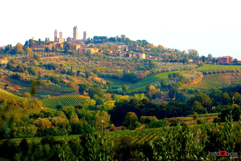 A view of San Gimignano from the villa in Tuscany, Italy. (Italy Photography By Scott Eklund/Red Box Pictures)