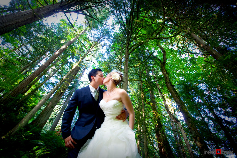 The bride and groom kiss under the trees at Treehouse Point in Issaquah, Wash. near Seattle. (Seattle Wedding Photographer Scott Eklund/Red Box Pictures)