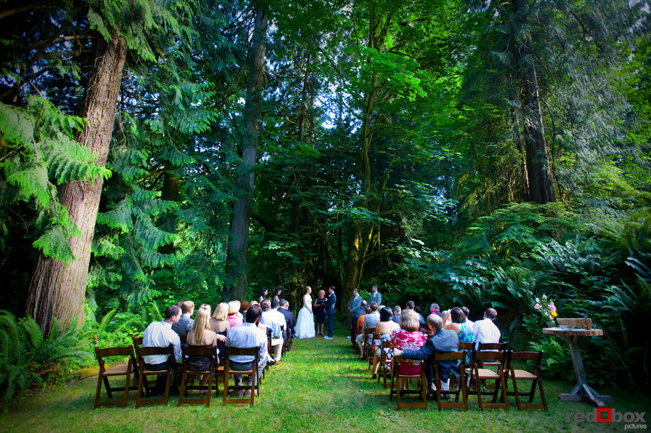 The wedding under the trees at Treehouse Point in Issaquah, Wash. (Seattle Wedding Photographer Scott Eklund/Red Box Pictures)