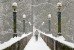 Nature - Snow (Photography By Dan DeLong / Red Box Pictures)
