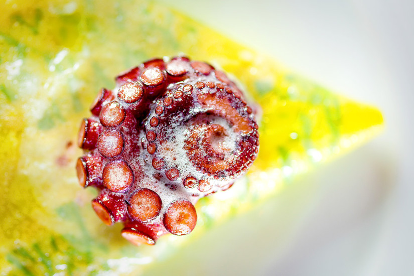 Food photography Bisato Restaurant Seattle