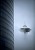 Structures - Space Needle and Enso - (Photography by Rob Sumner / Red Box Pictures