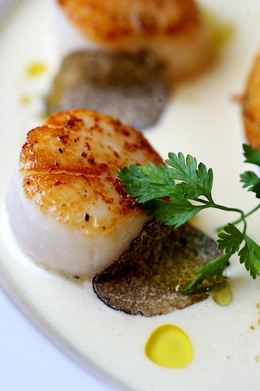 Food Photography -Sea Scallops with Shaved Black Truffles.