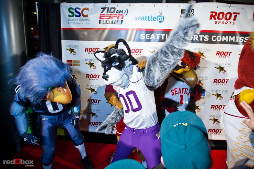 washington-seattle-sports-mascots.jpg