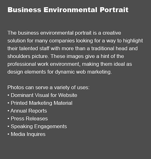 Business Portrait Description