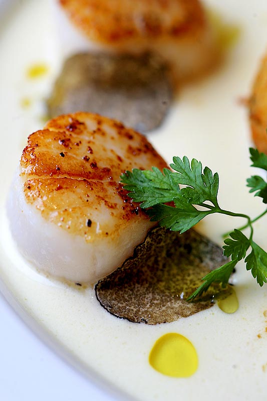 Sea Scallops with Shaved Black Truffles at Seastar Restaurant in Seattle (Photographer: Scott Eklund)
